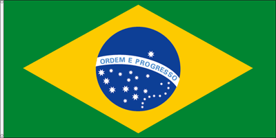 Section brésilienne présentation